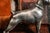 Solid Metal Cast Silverplate Antique Jennings Brothers Boxer Dog Statue Sculpture Pet For Sale - Image 10 of 14