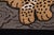 Contemporary Baby Leopard Animal Design Area Rug For Sale In New York - Image 6 of 13