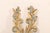 Early 19th C. Italian Carved Wood Fragments For Sale - Image 9 of 10