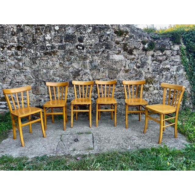 Beechwood Bistro Chairs from Luterma, France, 1950, Set of 6 For Sale - Image 12 of 14