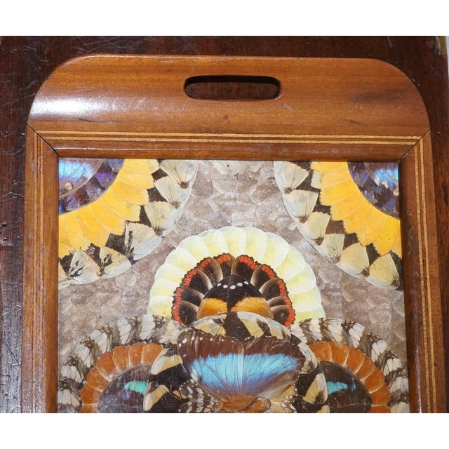 Wood Vintage Brazilian Inlaid Wood Tray with Real Morpho Butterfly Wings For Sale - Image 7 of 14