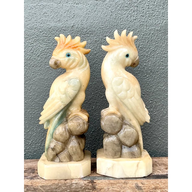 Vintage Onyx and Alabaster Cockatoos - A Pair For Sale - Image 4 of 12