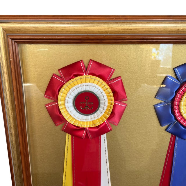 Framed Missouri Horse Show Champion Rosettes, Equestrian Wall Art, 1992 For Sale - Image 9 of 17