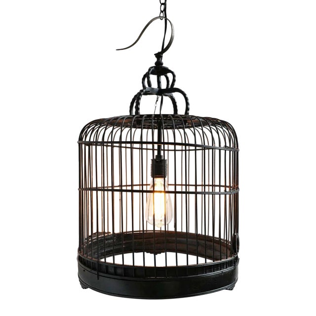 Bird Cage Pendant Light For Sale