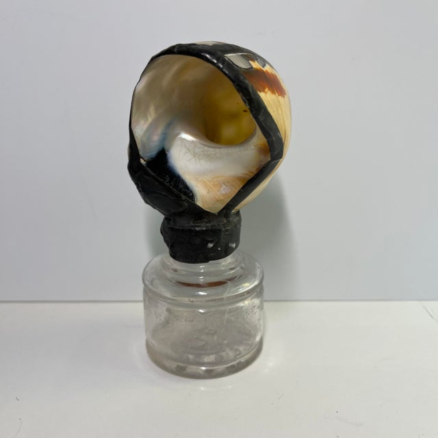 Mediterranean Vintage Mounted Spiral Shell Object For Sale - Image 3 of 6