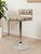 With its modern profile, and stylish frame, this lounge chair is sure to be an eye-catching piece for any style of...