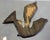 Ceramic Ceramic Bird Wall Hanger attributed to Konraad Galaaen For Sale - Image 7 of 9