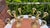 Art Deco Brass Five-Arm Candlestick, 1950s For Sale - Image 3 of 7