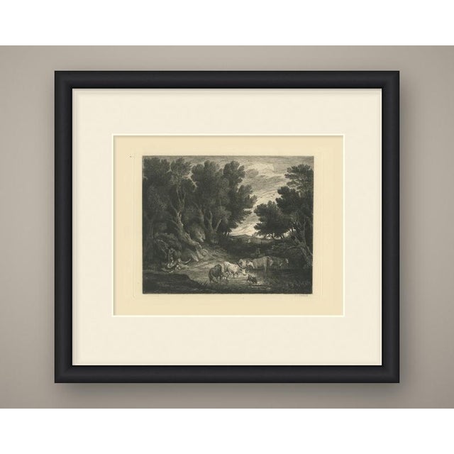 Cattle wade into a still woodland pool in this broad, darkly wooded landscape. Tall, windswept trees crowd in from the...
