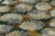 Rug & Kilim Vintage Swedish Rug With Polychromatic Geometric Pattern | Rug & Kilim For Sale - Image 4 of 8
