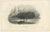 After Édouard Traviès, The Right Whale, 1840, Hand-Colored Engraving For Sale - Image 3 of 9