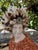 Stone 7" H. CSS Seashell Bust of Apollo For Sale - Image 7 of 7