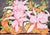Realism Butterflies and Hibiscus by Ben Black For Sale - Image 3 of 6