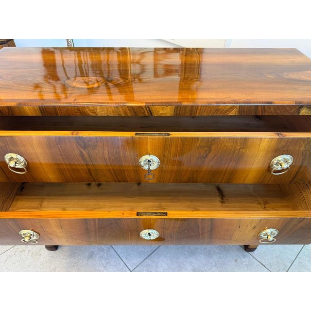 Antique Biedermeier Chest of Drawers in Walnut For Sale - Image 12 of 14