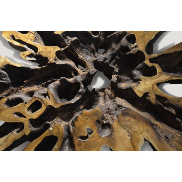 Andrianna Shamaris Impressive Teak Wood Root Art or Coffee Table For Sale - Image 12 of 18