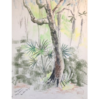 1966 Rainbow Springs Florida Landscape For Sale
