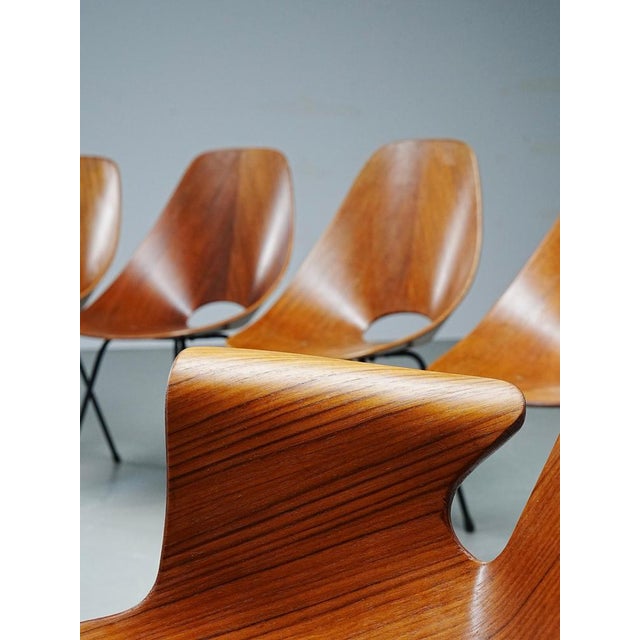 Medea Dining Chairs by Vittorio Nobile, 1950s, Set of 6 For Sale - Image 6 of 11