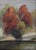 Small early 20th century oil on canvas board plein air landscape painting of autumn trees at the riverside. Unsigned....