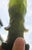 Chinese Florite Carved Standing Kuan Yin For Sale - Image 10 of 12