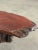 Wood Vintage Live Edge Redwood Burl Coffee Table For Sale - Image 7 of 12