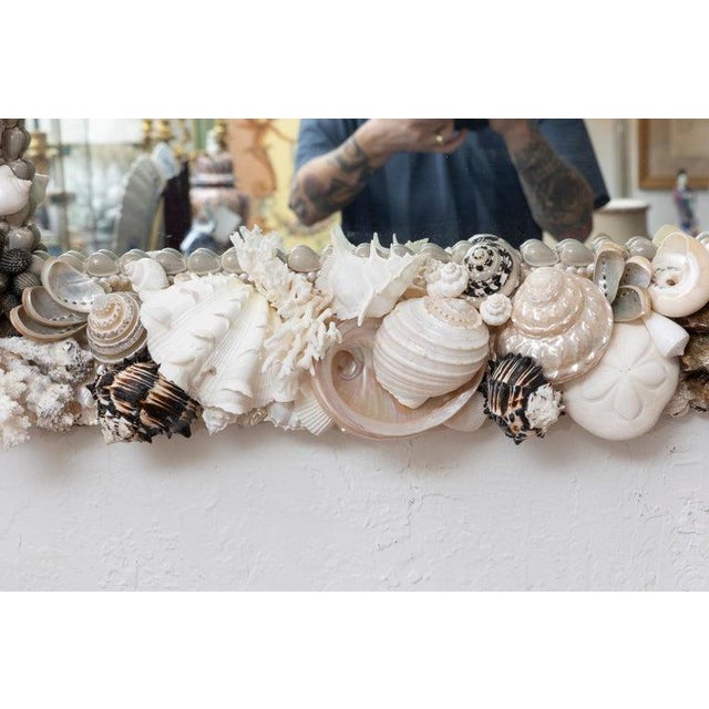 Eggshell Custom Organic Shell Mirror For Sale - Image 8 of 8