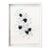Minimalist Black & White Botanical Abstract, Framed by Jake Poser For Sale