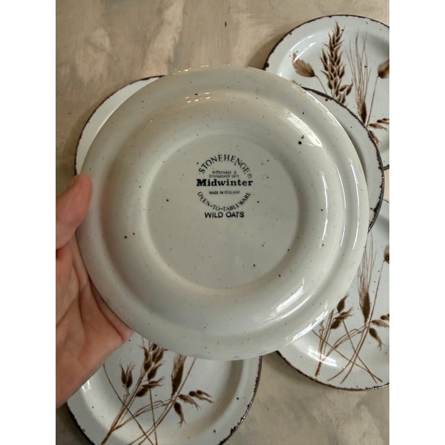 Wedgwood 1980s Midwinter Stonehenge Wild Oats 7 Inch Salad Plates England - Set of Six (6) For Sale - Image 4 of 10