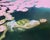 Milena Kwiatkowska, No Title, Series: Suspended in Time, Ophelia, 2026, Oil on Canvas For Sale - Image 6 of 6