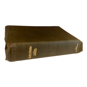 Oxford Self‑Pronouncing Holy Bible – 1901 s.s. Teacher’s Edition