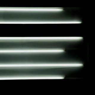 Michael Banks, Dan 1, Pigment Print, 2011 For Sale