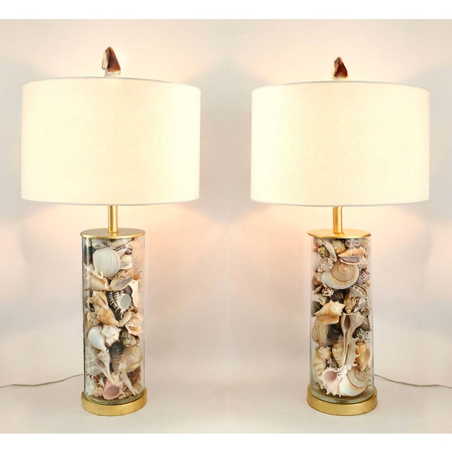 Lamp Pair Seashells Shells Restored Extra Large Size For Sale - Image 10 of 10