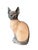 Ceramic Royal Copenhagen 8"Siamese Cat Figurine 3281 Denmark Porcelain Sculpture VTG 50s For Sale - Image 7 of 8
