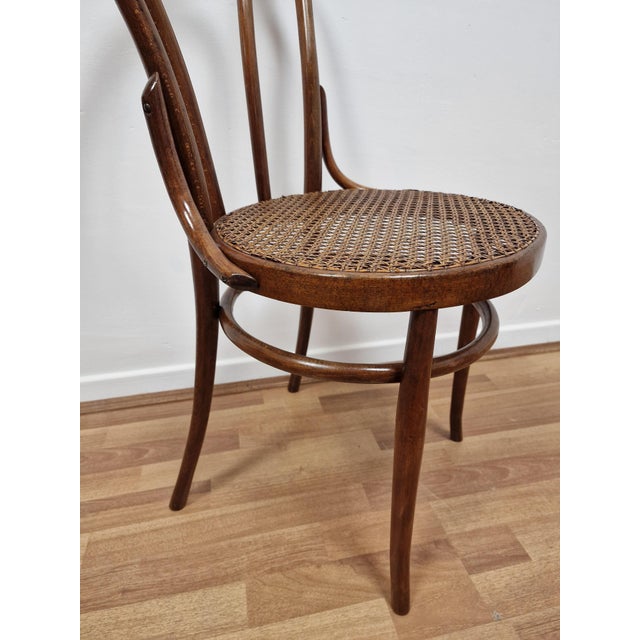 Bent Beechwood Dining Chairs from Salvatore Leone, Late 19th Century, Set of 4 For Sale - Image 6 of 11