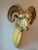Paper Sergio Bustamante Papier Mache Ram's Head Wall Sculpture For Sale - Image 7 of 7