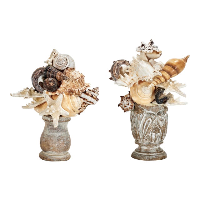 Pair of Seashell Sculptures on Wood Bases For Sale