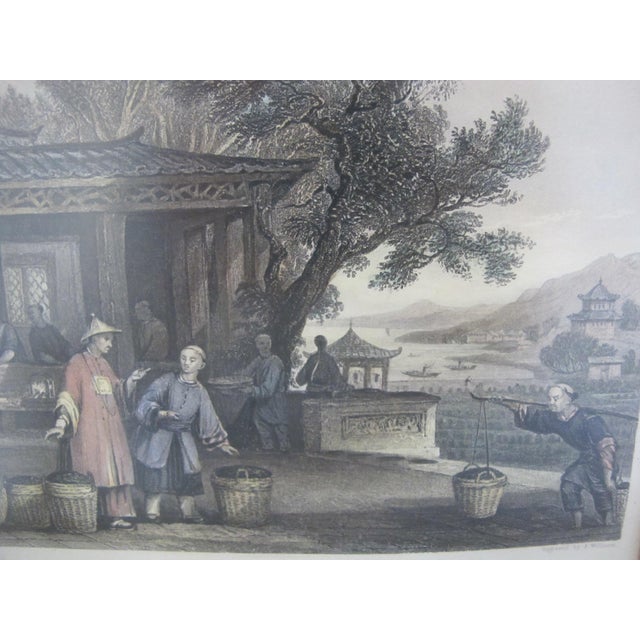 Framed hand colored engraving titled "The Culture and Preparation of Tea". Originally drawn by Thomas Allom, the image was...
