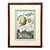 Vintage Coastal Lemon Engraving on Paper For Sale