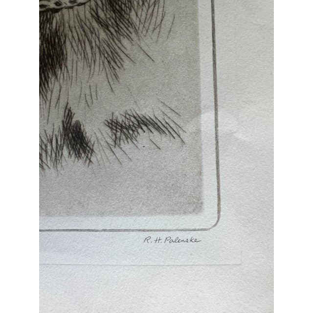 American Mid 20th Century Black Labrador Etching Print For Sale - Image 3 of 6