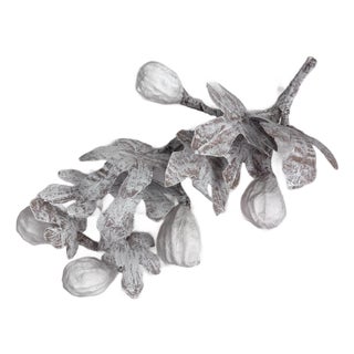 Paper Mache Fig Branch in Cartapesta Round Frame For Sale