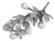 Paper Mache Fig Branch in Cartapesta Round Frame For Sale