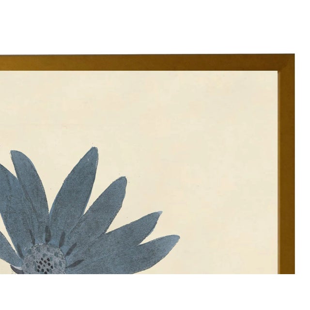 Art Print: Vintage Blue Rudbeckia Print In Gold Shadowbox Dimensions: 19" x 25"