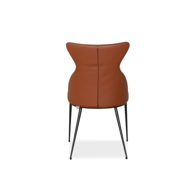 Luno Chairs in Brown Leather from Bert Plantagie, Set of 4 For Sale - Image 15 of 18