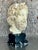 Mid 20th Century Vintage Grand Tour Plaster Bust of Man For Sale In West Palm - Image 6 of 12