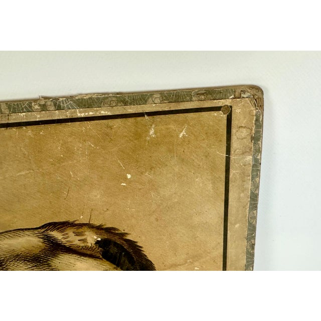 Boho Chic Czech Educational School Board with Cow, 1900s For Sale - Image 3 of 12