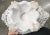 Vintage Italian White Glazed Fine Ceramic Footed Oval Fruit Basket For Sale - Image 10 of 12