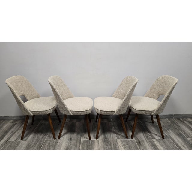 White Dining Chairs by Oswald Haerdtl for Ton, 1950s, Set of 4 For Sale - Image 8 of 12