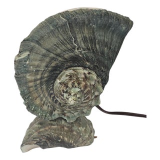 1970s Tahitian Turbo Marmoratus Mother-of-Pearl Shell Mood Lamp For Sale