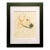 Framed & Matted Watercolor Painting, a Yellow Dog, Circa 1970 For Sale