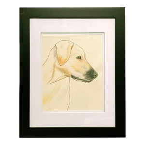 Framed & Matted Watercolor Painting, a Yellow Dog, Circa 1970