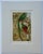 “Quesal” (Quetzal) Bird Chromolithograph, C. 1890s Natural History Print For Sale - Image 4 of 4